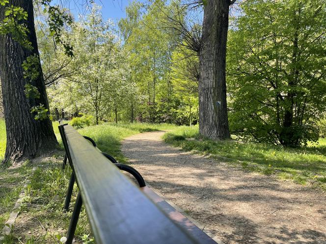 Najdłuższy park w Polsce jest w Krakowie. Ledwo widać go na mapach, a jest pełen atrakcji