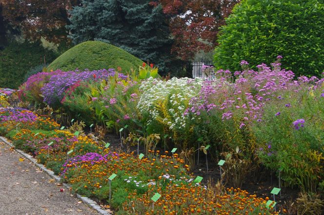 Najpiękniejszy ogród botaniczny w Polsce znów otwarty dla gości. Przygotuj się na widoki jak z bajki 