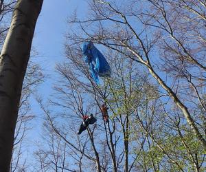 Paralotniarka wylądowała na drzewie. Kobieta wisiała 25 metrów nad ziemią