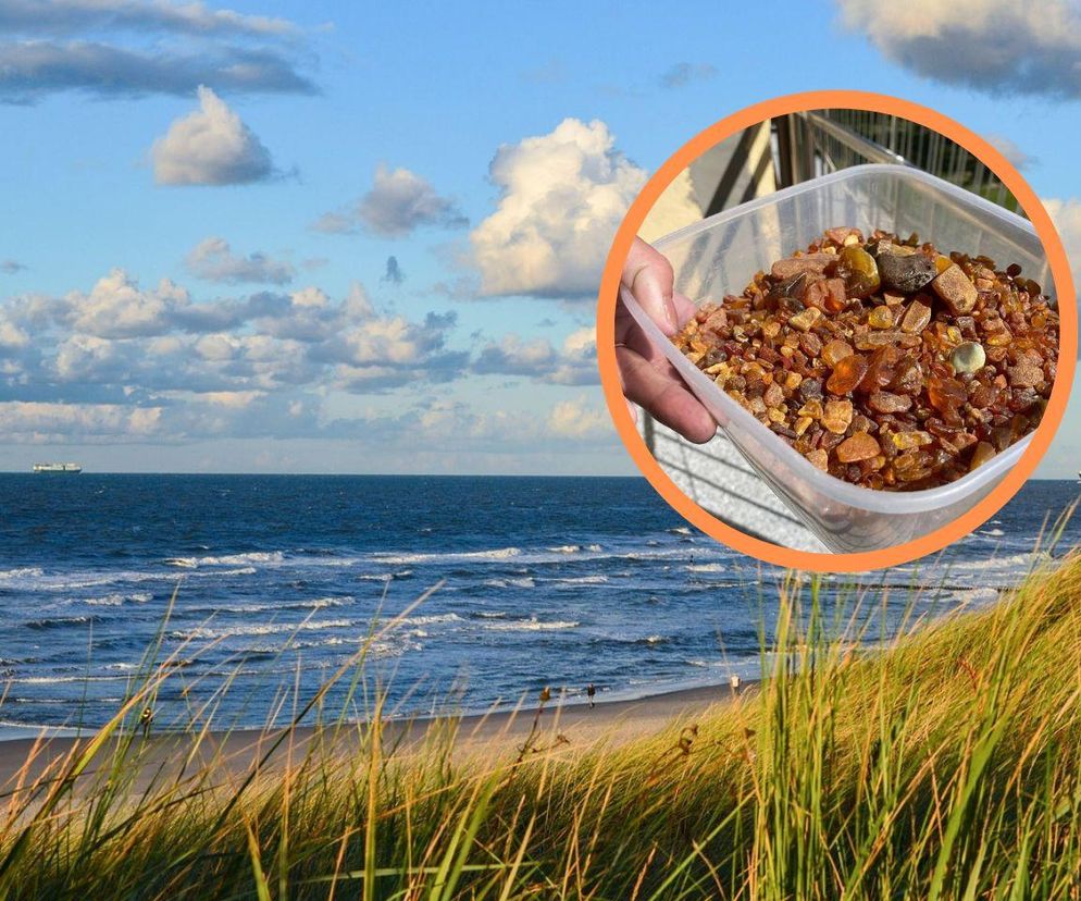 Bursztynowa gorączka na Mierzei Wiślanej! Plaże zamieniły się w kopalnie złota Bałtyku