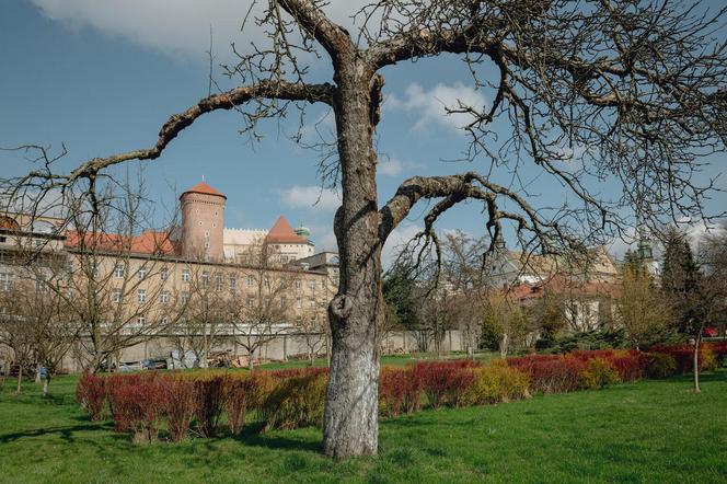 Małopolskie Dni Dziedzictwa Kulturowego 2024 - zobacz zdjęcia budynków z programu