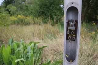 Rozkradli ścieżkę rowerową na Siekierkach. Złodzieje pokonali urzędników