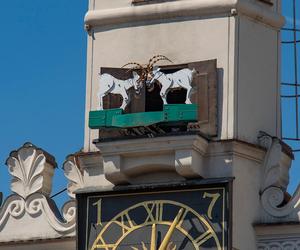 Stary Rynek nadal bez koziołków