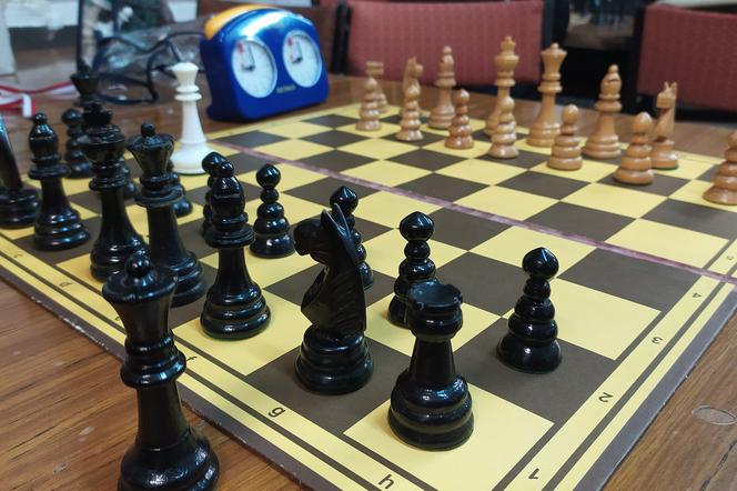 szachy radom
