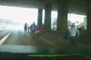 Dzieci z opiekunami biegały po DTŚ w Chorzowie