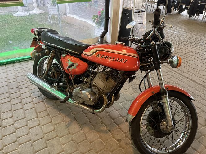 Festiwal Green Days Kawasaki
