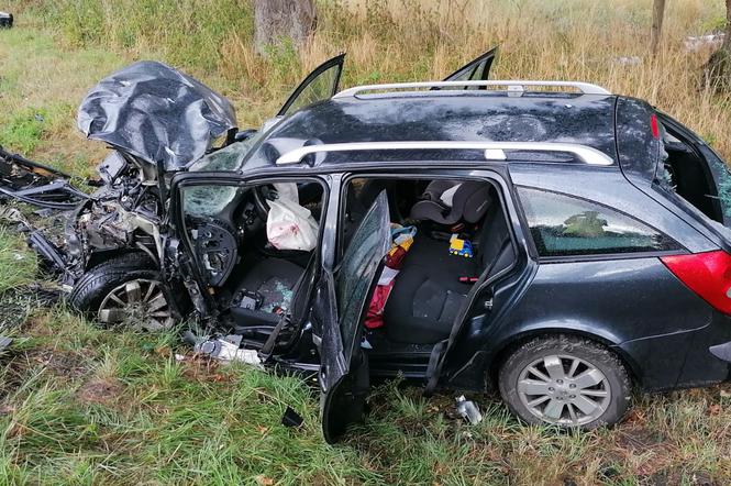 Siedem osób rannych, lądowały trzy śmigłowce. Wypadek pod Lesznem 