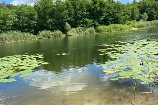 Glinianki w Zielonej Górze popadają w ruinę? 