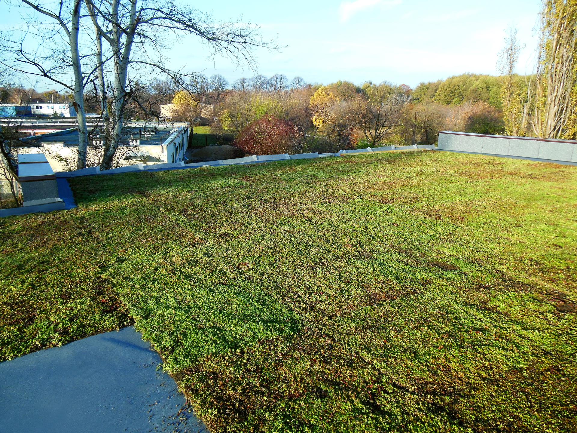 Systemy zielonych dachów Icopal