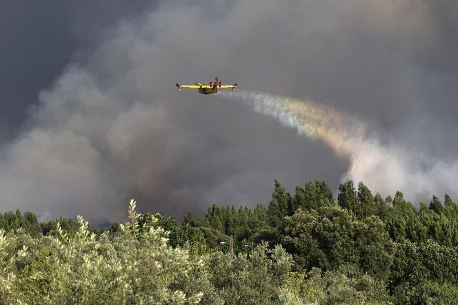 Groza w Portugalii! Tornado ognia i trąba z pyłów