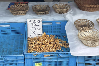 Ceny grzybów biją rekordy!