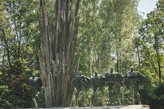 Piękne Lasy Janowskie. Jaka ważna bitwa rozegrała się niedaleko? Co zwiedzić? Atrakcje w okolicy według Wędrownych Motyli