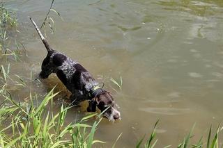 Policjanci wrócili nad brzeg rzeki. Wzruszające słowa siostry