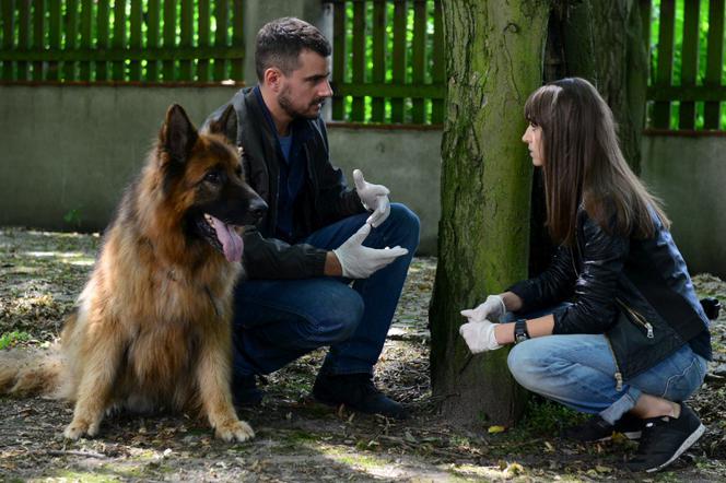 Komisarz Alex 8 sezon odc. 92. Ewa (Agnieszka Więdłocha), Michał Orlicz (Antoni Pawlicki)