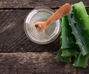 Żel aloesowy: jak działa i jakie ma właściwości? Gdzie kupić żel aloesowy?