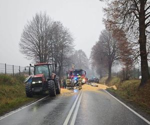 Deszcz kukurydzy pod Oświęcimiem. Droga została zasypana ziarnem