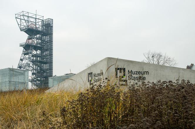 Muzeum Śląskie, Katowic