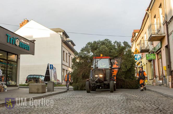 Gorlice: Na rynku już stoi choinka. Jest piękna. MUSISZ ją zobaczyć