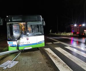 Autobus uderzył w drzewo, znak drogowy i latarnię! 