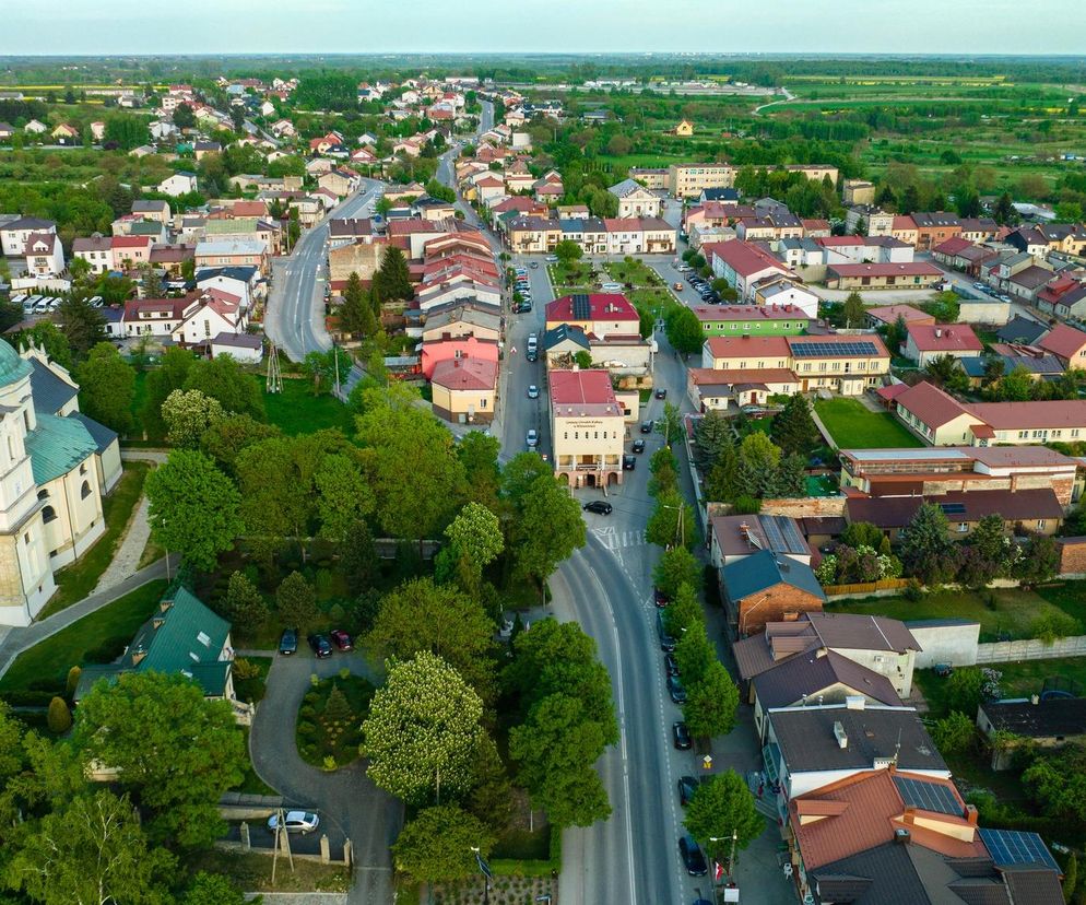 Klimontów. Znajdziesz tu najdłuższą aleję kasztanów w Europie 