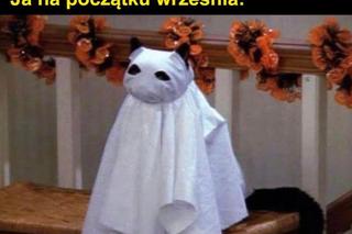 Memy o jesieniarach. Te obrazki są takie prawdziwe 