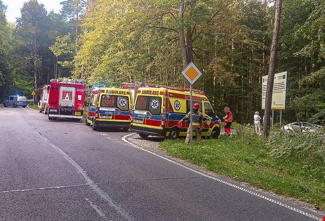 Justyna Burska zginęła w wypadku. Początek procesu