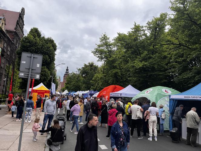 Piknik nad Odrą 2024 Szczecin 