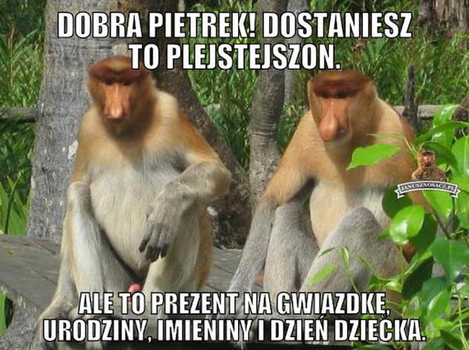 Memy na DZIEŃ DZIECKA