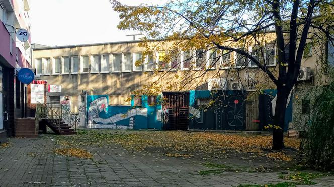 Nowy mural w centrum Szczecina