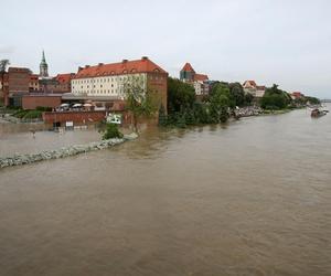 Toruń 2010