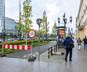 Sadzenie zieleni na placu Bankowym w maju 2025 r.