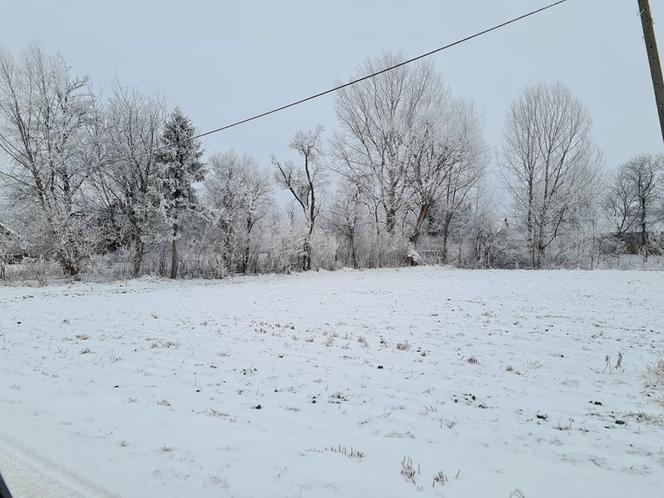 Zima na Podkarpaciu. Niezwykłe krajobrazy [ZDJĘCIA]