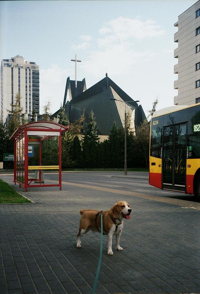 Miasto do mieszkania