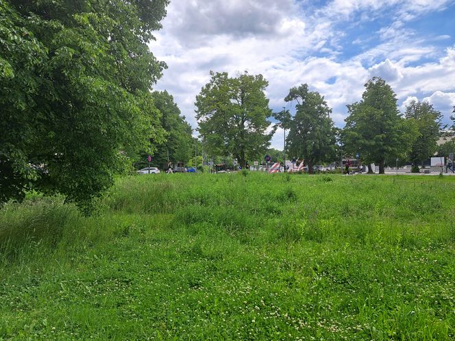 Błonia w Krakowie