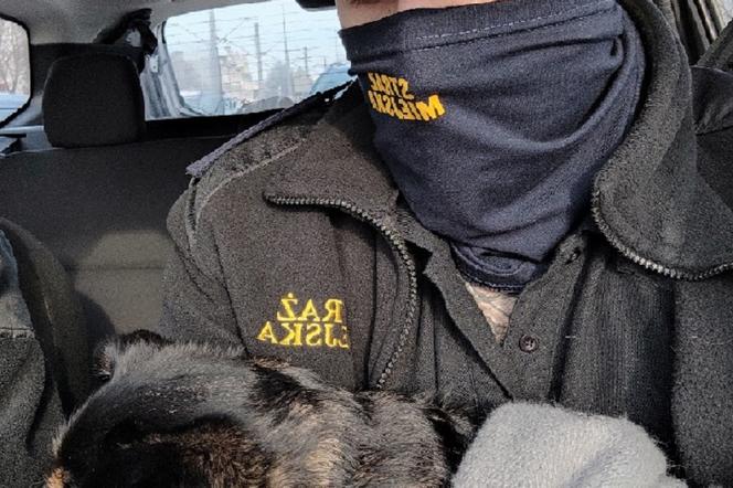 Uratowali psa przywiązanego do śmietnika w centrum Elbląga