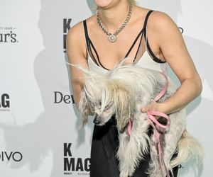 Te psy skradły serca gwiazd! 