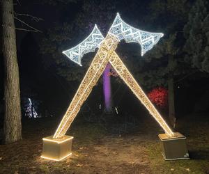 Lumina Park w Poznaniu. Multimedialny spacer w milionie świateł powraca w nowej odsłonie