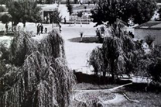 Tak 100 lat temu wyglądał Janów Lubelski! Zobacz te niesamowite zdjęcie