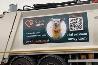 ​Śmieciarki ze zdjęciami psów wyjechały na ulice Leszna. Ruszyła akcja „Czysta Miłość” [FILM/ZDJĘCIA]