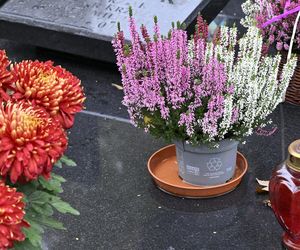 Grób rodziców Jarosława  Kaczyńskiego