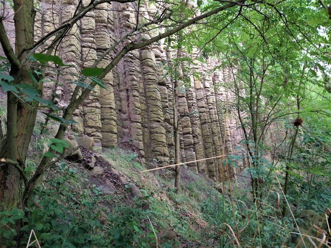 Bazaltowe słupy na Dolnym Śląsku