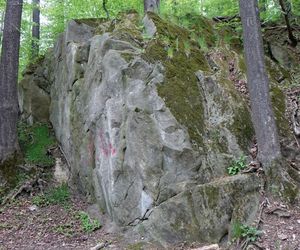 Rezerwat Grapa w Żywcu