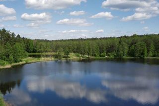 Jezioro Komosa obok miejscowości Krasne na Podlasiu