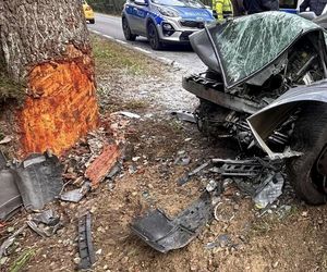 Kierowca uderzył oplem w drzewo, nie przeżył. Policja szuka sprawcy