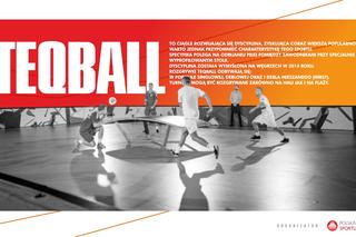 Lotos Syrenka Teqball Cup - III Plażowe Mistrzostwa Polski