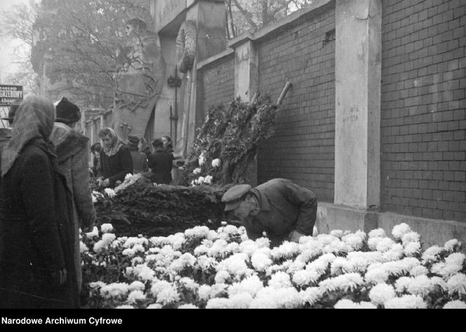 Cmentarze Powązkowskie - 1946-1963