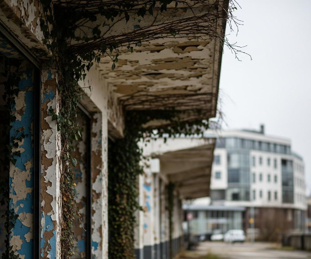 Fragment zrujnowanej, opuszczonej konstrukcji rozciąga się w prawą stronę obrazu. Elementy architektoniczne pokryte są łuszczącą się farbą w odcieniach błękitu, brązu i bieli, a pnącza z ciemnozielonymi liśćmi porastają powierzchnie ścian i stropu. W tle, na prawo, widać niewyraźne, współczesne budynki z białymi fasadami i licznymi oknami, oraz słup oświetleniowy, wszystko pod szarym, zachmurzonym niebem.
