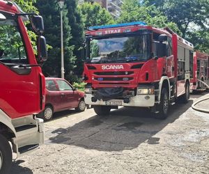 Kobieta zginęła w pożarze w wieżowcu. Udział osób trzecich niewykluczony [ZDJĘCIA]