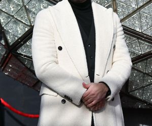 Pitbull ma bardzo charakterystyczny wizerunek