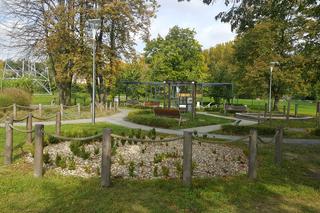 Pastwisko dla koni w Sosnowcu